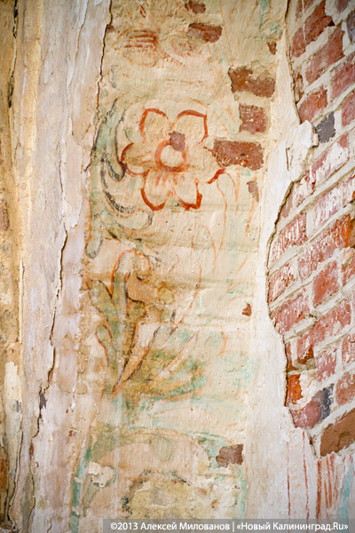 «Фрески и аисты»: вокруг кирхи в посёлке Кумачево идёт судебная тяжба