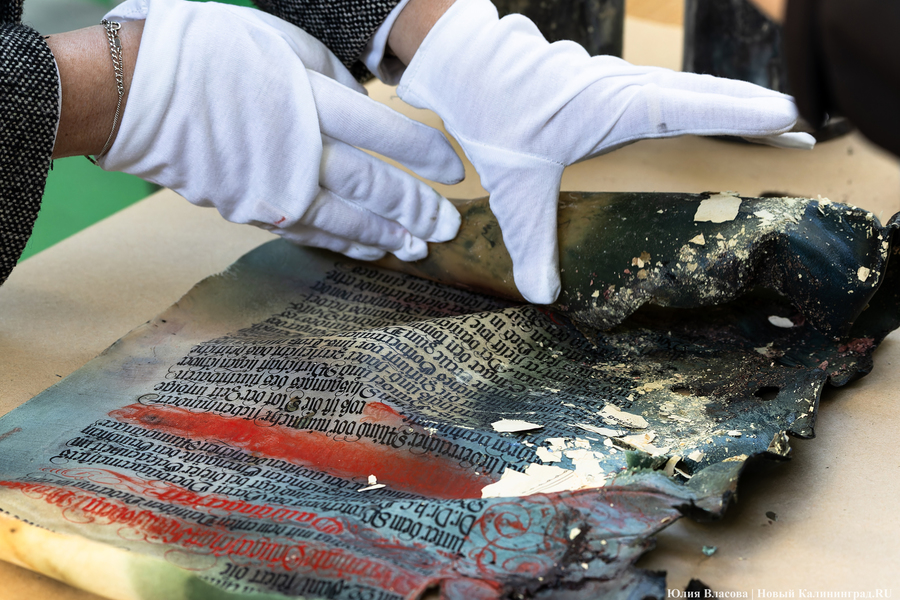 Эхо прошлого: в Калининградском зоопарке извлекли 94-летнюю «капсулу времени» (фото)