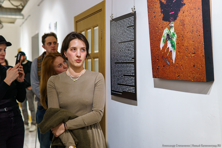 «Порт назначения недоступен»: программисты и художники вместе создают арт-объект (фото)