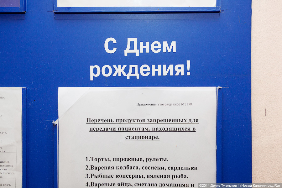 Доктор Лиза о хосписе в Калининграде: «Я в ужасе от вашего правительства»