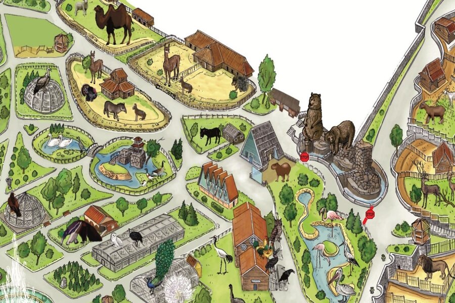 В Калининградском зоопарке на три дня закрывают доступ к вольеру медведей (фото)