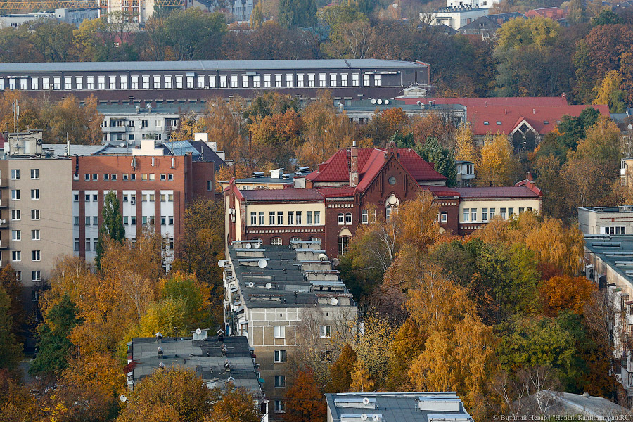 Фото — Виталий Невар, «Новый Калининград.Ru»
