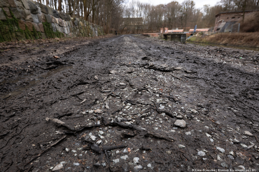 Непролазная грязь: как выглядит берег Литовского ручья в ожидании реновации (фото)