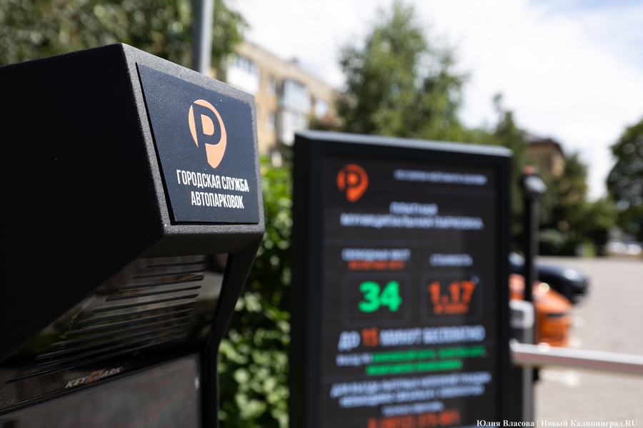 Горвласти: для оплаты муниципальных парковок можно воспользоваться макс-ботом