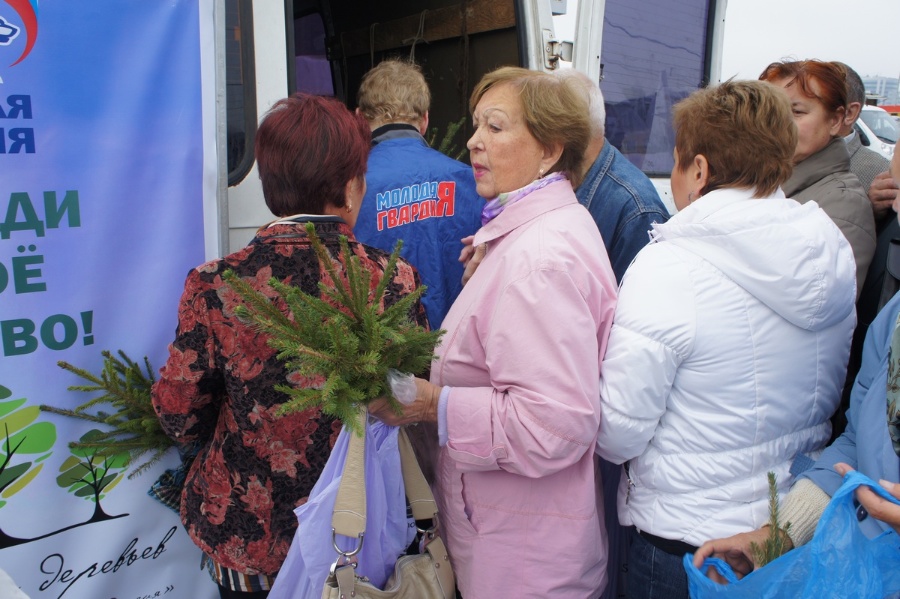 «Елки-палки»: фоторепортаж «Нового Калининграда.Ru»