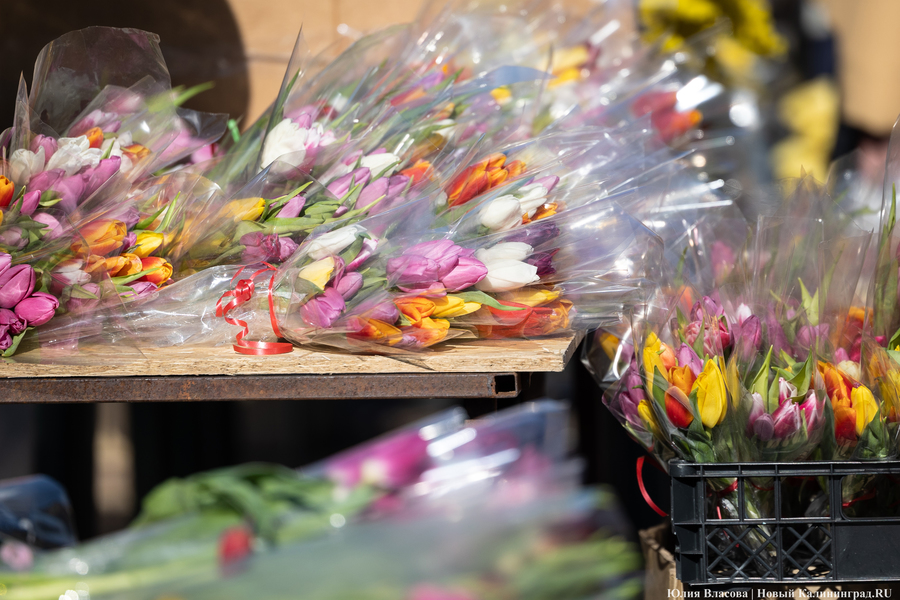 Цветочные баррикады: как выглядят улицы Калининграда 8 марта (фото)