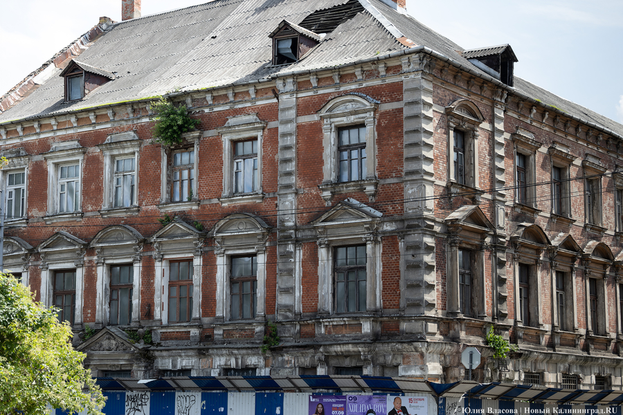 Фото: Юлия Власова / Новый Калининград
