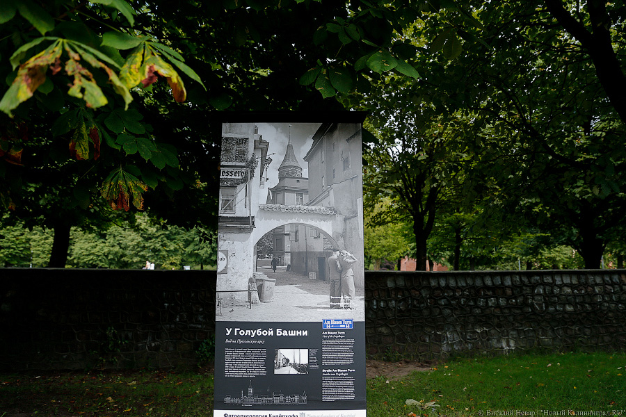 Прогулки по Кнайпхофу: о чём рассказывают новые стенды на острове Канта