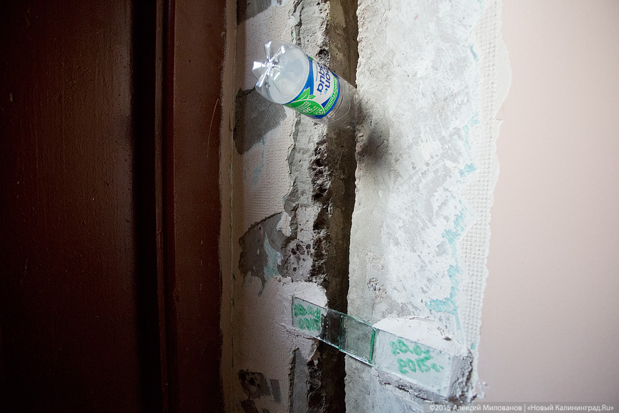 Фото — Алексей Милованов, «Новый Калининград.Ru»