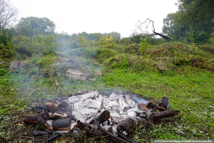 Куда уехал цирк: прогулка по Южному парку