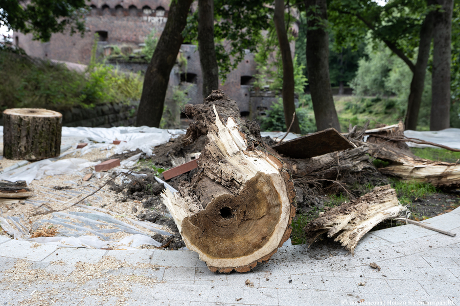 Почти готов, но дата открытия под вопросом: как сейчас выглядит Каштановый парк (фото)