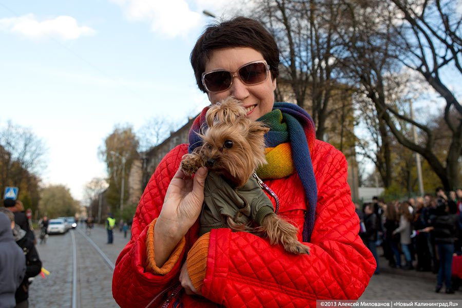 75 оттенков олимпийского: эстафета огня Олимпиады-2014 в Калининграде