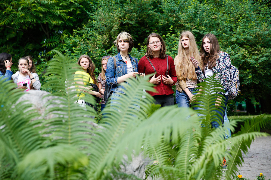 Мир, дружба, клумба: как мэрия Калининграда закругляла углы межнациональных отношений (фото)