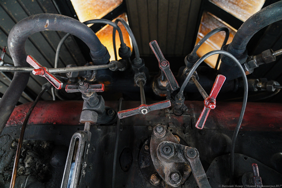 На ретропоезде до Советска: в Калининград привезли туристический паровоз (фото)