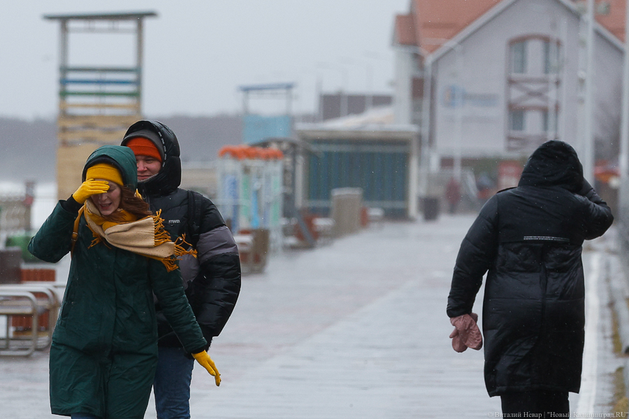 Эксперты рассказали, какой силы ветер был в городах области в последний шторм