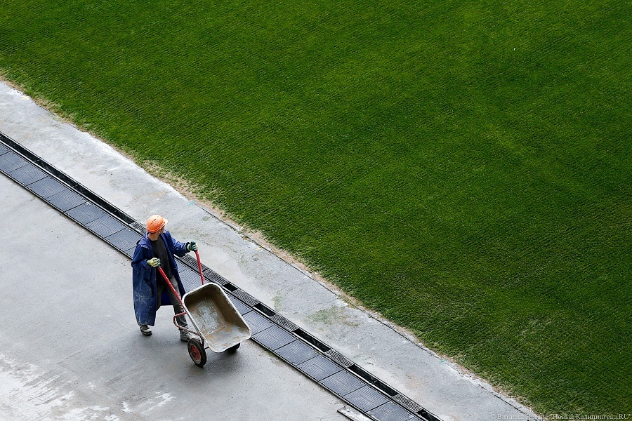 Тонкая настройка: ФИФА проинспектировала строящийся стадион в Калининграде