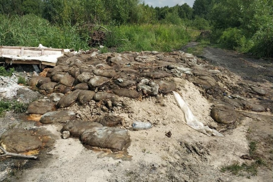 В Багратионовском округе обнаружена нелегальная свалка биологических отходов (фото)