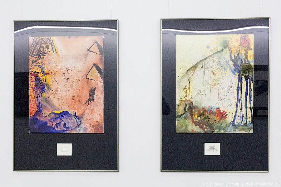 Только подлинники: в Музее искусств открылась выставка Дали, Пикассо и Шагала