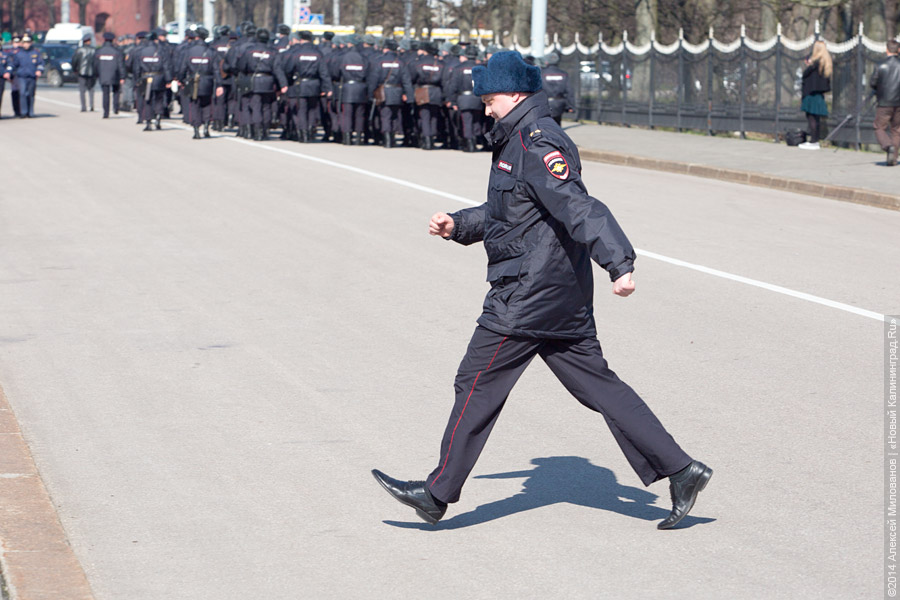 Смотр и развод: кто охраняет общественный порядок в Калининграде (фото)