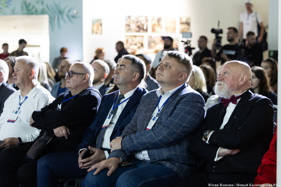 «Гнёзда» на Филинской бухте: проект из Москвы получил первую премию «ЭкоБерега» (фото)