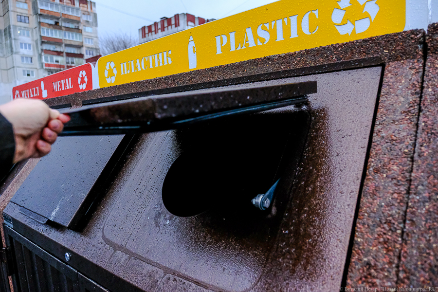 Калининградский экопроект «Зеленое дело» зарегистрировал товарный знак