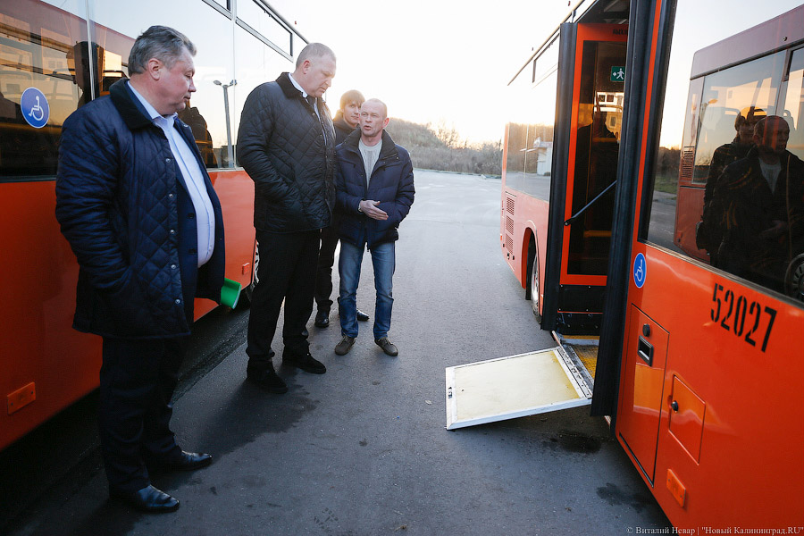 «Сделав шаг»: в Калининграде появились новые низкопольные автобусы (фото)