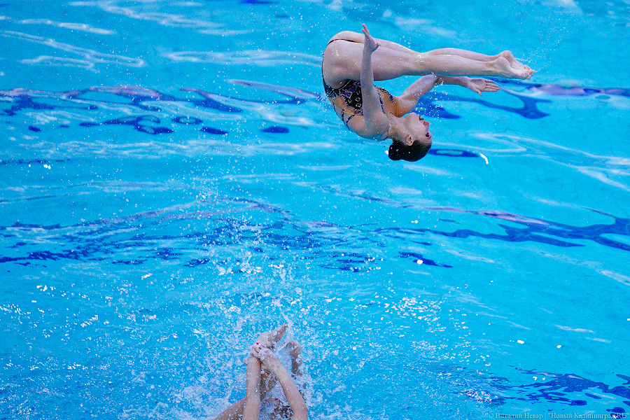 В Калининграде проходит Кубок России по синхронному плаванию. Вот как это выглядит (фото)