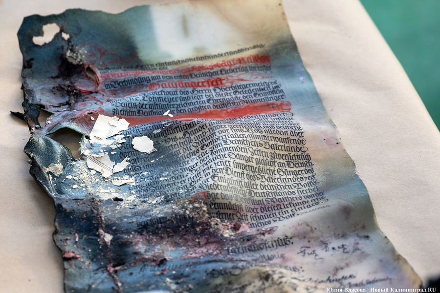 Эхо прошлого: в Калининградском зоопарке извлекли 94-летнюю «капсулу времени» (фото)