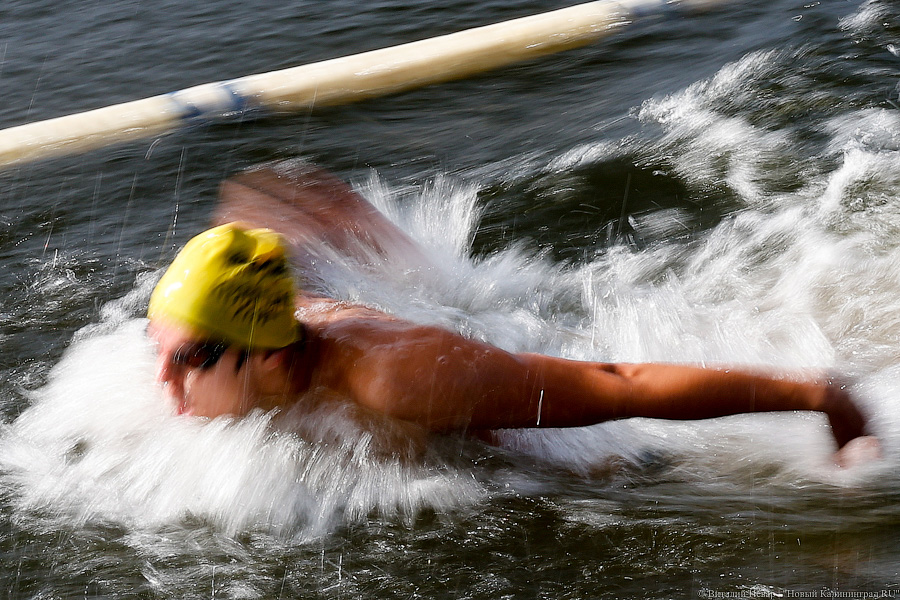 Время моржей: в  Калининграде прошли соревнования по зимнему плаванию (фото)