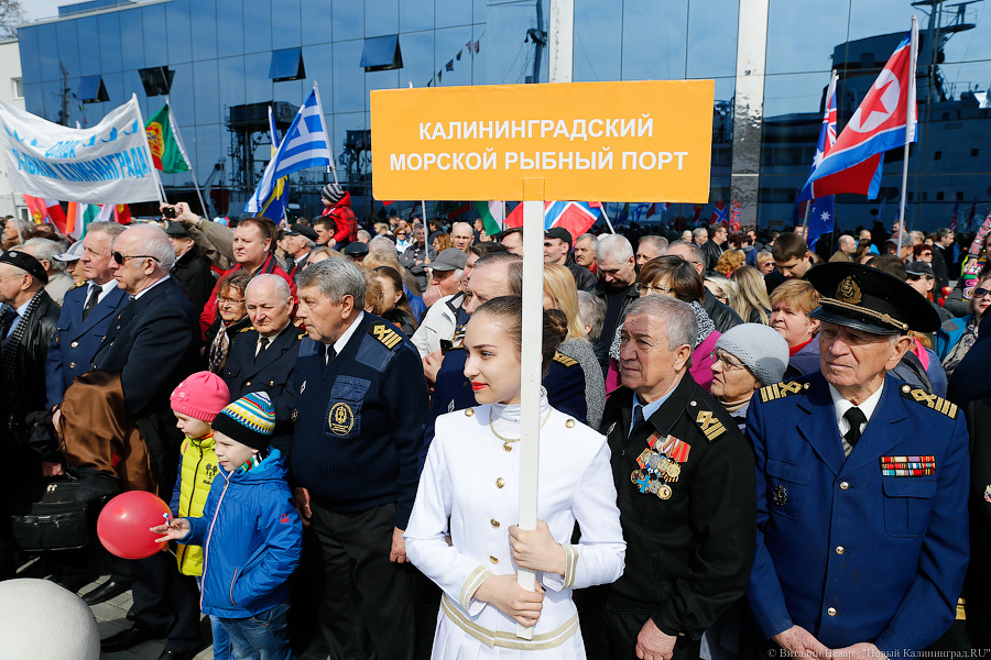 Суточного посола и под шубой: как прошел День селедки