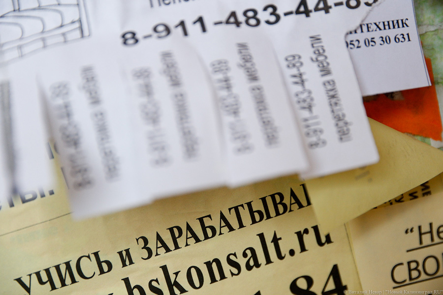 Калининградская область заняла 55 место в рейтинге регионов по рынку труда