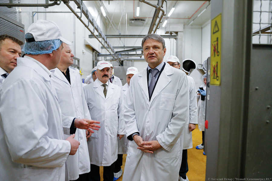 Галопом по котлетам: главе Минсельхоза РФ показали два завода в Калининграде