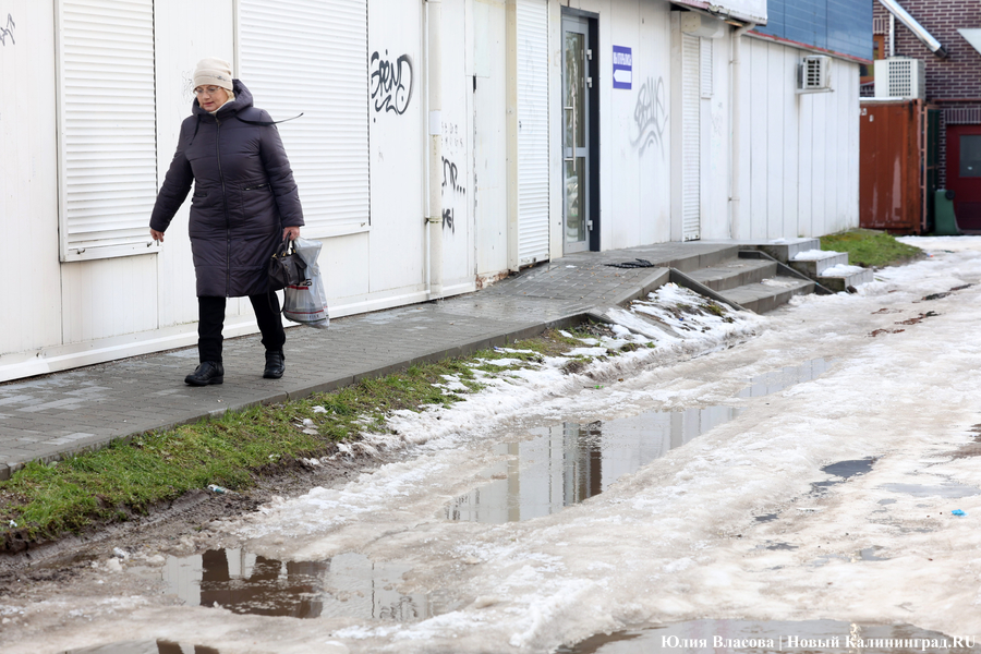 Чудеса эквилибристики и тонкости скольжения: как жители Калининграда передвигаются по тротуарам (фото)