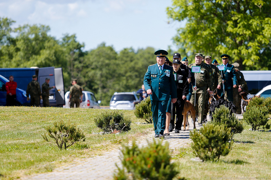 Пёс Барбос и наркокросс: под Калининградом прошли соревнования кинологов