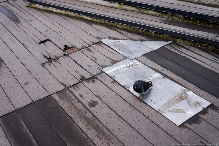 15 апреля: набережная Летнего озера через 2 года после благоустройства