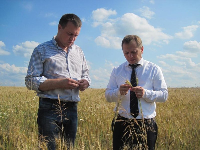 Круговое замыкание: как губернатор правдинские сельхозугодья инспектировал (фото)