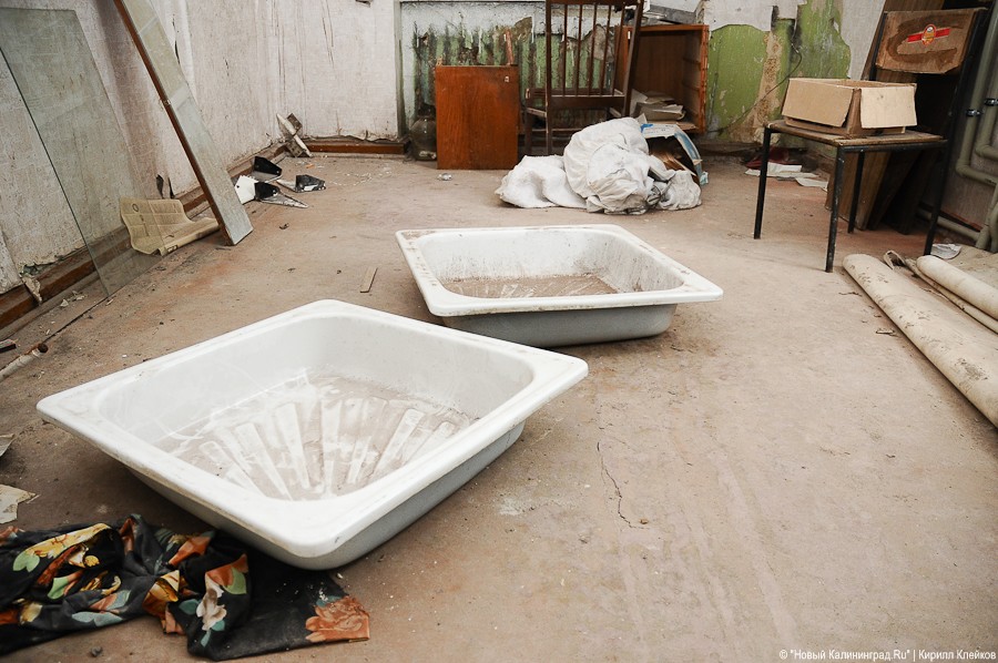 "Инфекционные горизонты": репортаж "Нового Калининграда.Ru"