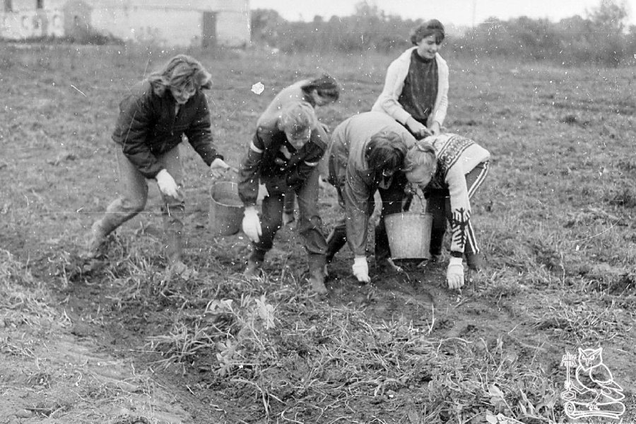 Поездки на картошку и побег леопарда: о чем писали газеты 35 лет назад