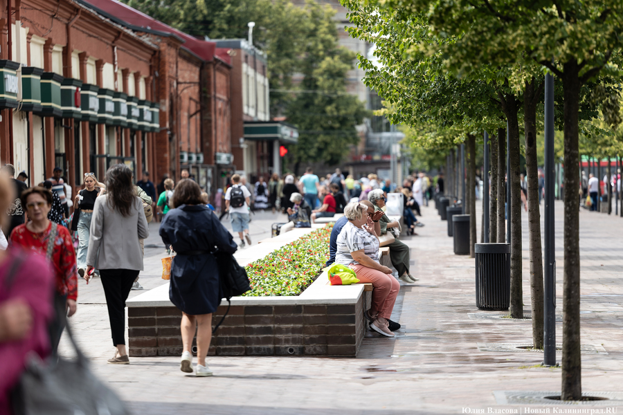 Вместо развалившихся: на улицу Баранова вернули вазоны-лавки за 12,5 млн рублей (фото)