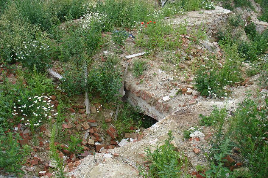 Слом истории: еще одна немецкая усадьба погибла, не дождавшись инвестора