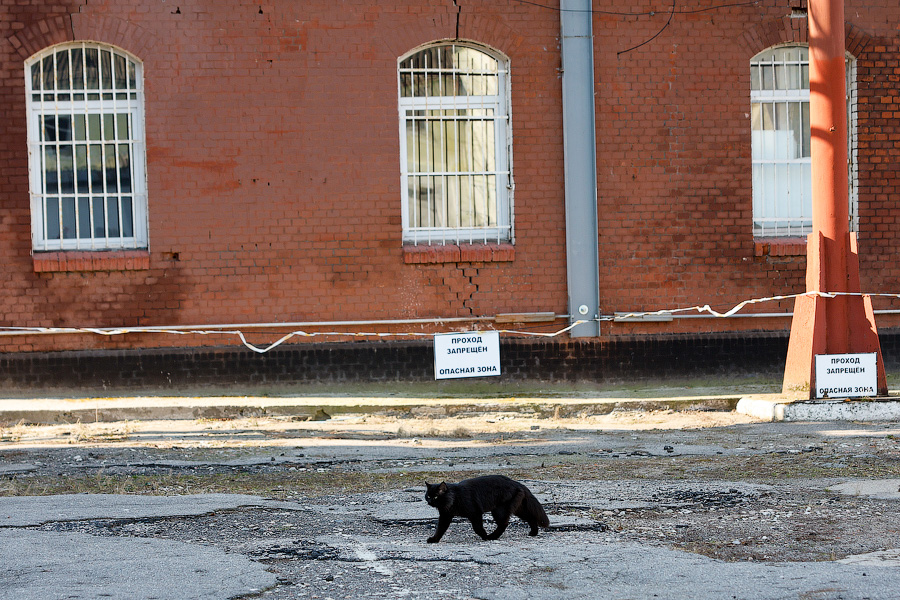 Домик из волчьих черепов: колония в замке Тапиау глазами бывшего политзаключённого (фото)