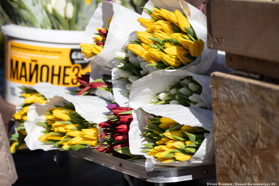 Цветочные баррикады: как выглядят улицы Калининграда 8 марта (фото)