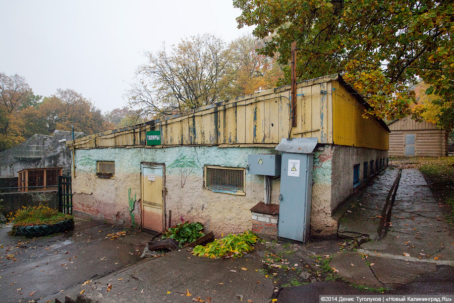 Звериные тропы: прогулка по зоопарку