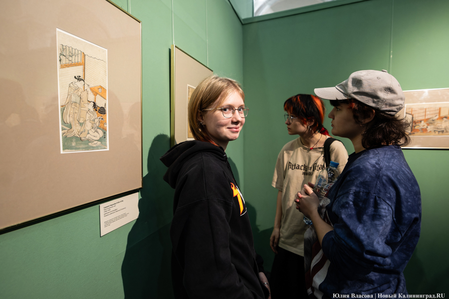 Япония рядом: в Музее изобразительных искусств открылись Дни Эрмитажа (фото)