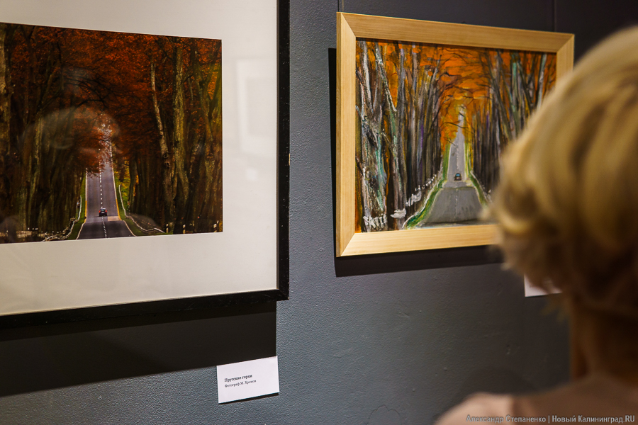 «О чем молчат деревья»: в Воротах открылась выставка, воспевающая придорожные аллеи (фото)