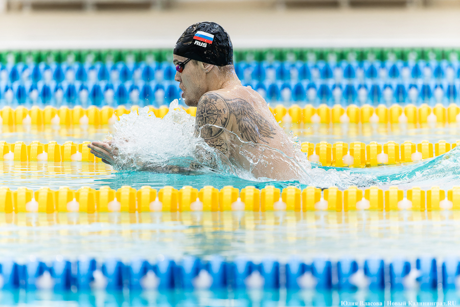 Легкой воды: как Калининград впервые принимал Кубок России по плаванию (фото)