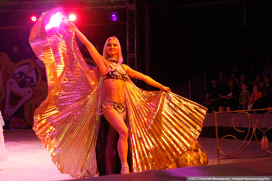 «Цирк в подарок»: фоторепортаж c премьеры цирковой программы