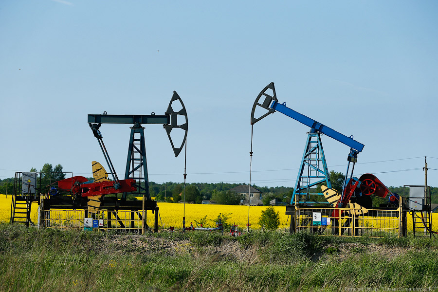 Польша и Прибалтика потребовали установить потолок цены на российскую нефть в $30 за баррель