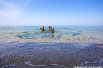 В Сокольниках утонула 49-летняя калининградка