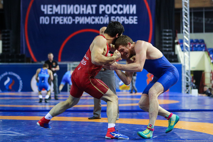 Просто мощь: чемпионат России по греко-римской борьбе идет в Калининграде (фото)